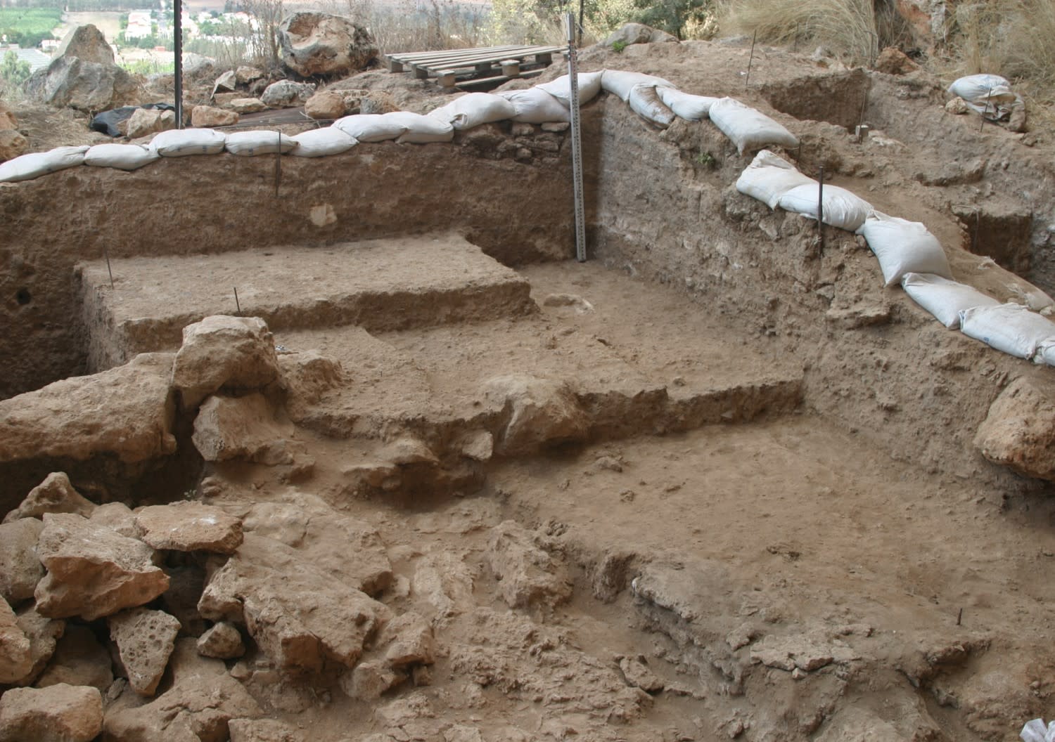 A área escavada onde o fóssil foi encontrado.  (UNIVERSIDADE DE COURTESY OF MINA WEINSTEIN EVRON / HAIFA)