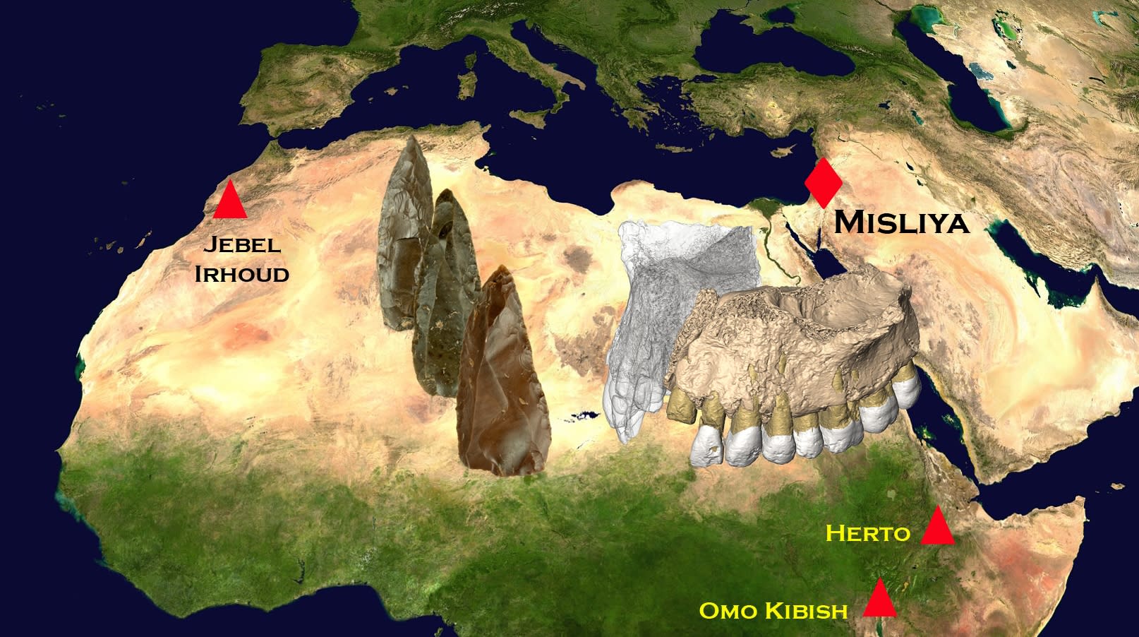 A localização dos fósseis humanos modernos precoce em África e Oriente Médio.  (COURTESY OF ROLF QUAM / BINGHAMTON UNIVERSITY)