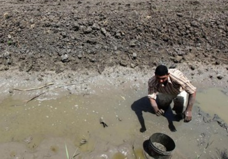 Un fermier égyptien tente d'irriguer ses terres affectées par la sécheresse.