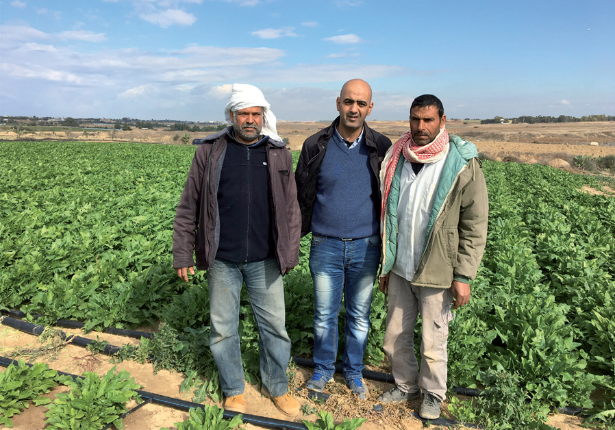 Gisha's coordinator in Gaza, Mohammed Azaiza (center), with Gaza farmers in their fields to which they have limited access (GISHA)