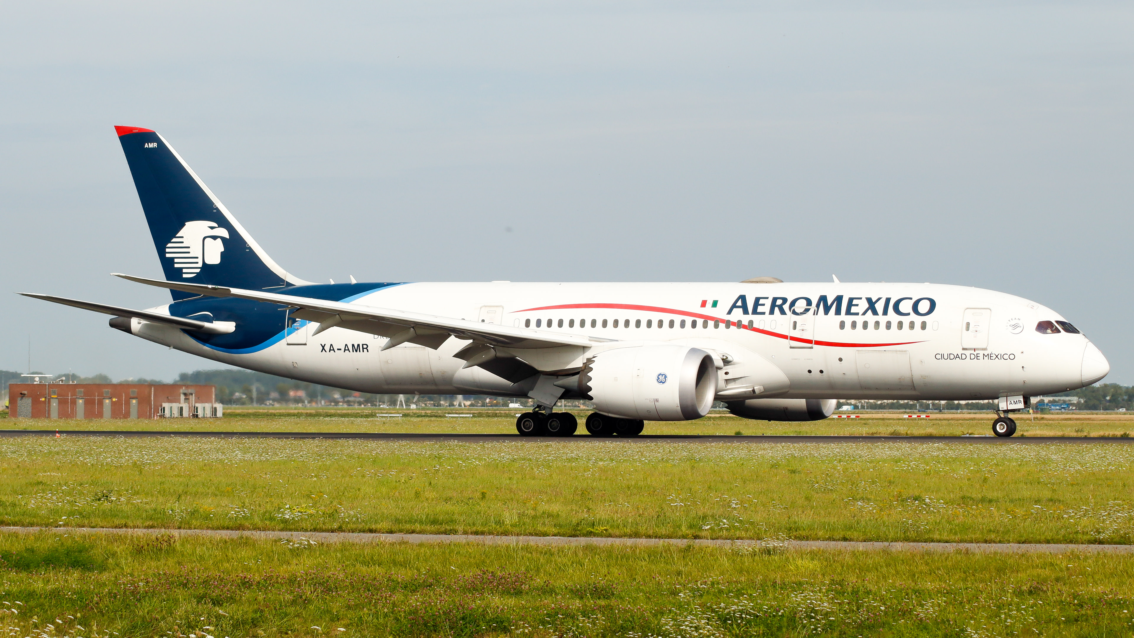  AeroMexico airplane, illustrative (Wikimedia Commons/Gameplayzz)