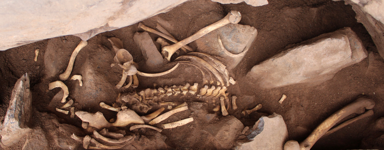  Human remains are found in a cave, and unearthed to be analyzed by Tibicena, an archaeology company, in Galdar, on the island of Gran Canaria, Spain March 13, 2023.