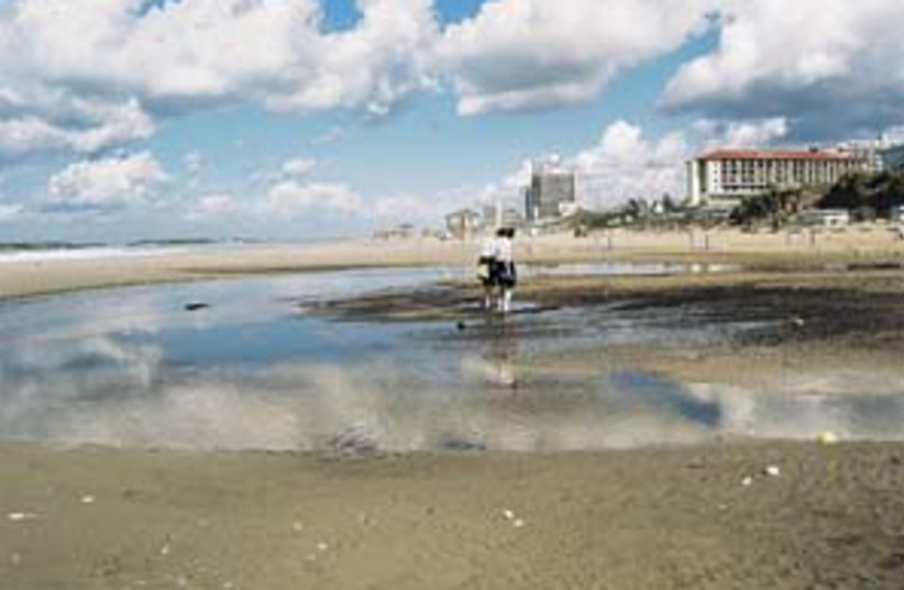 beach polution 298 (photo credit: Sagit Rogenstein)