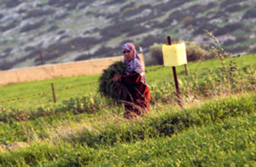 palestinian woman 311 (photo credit: AP)