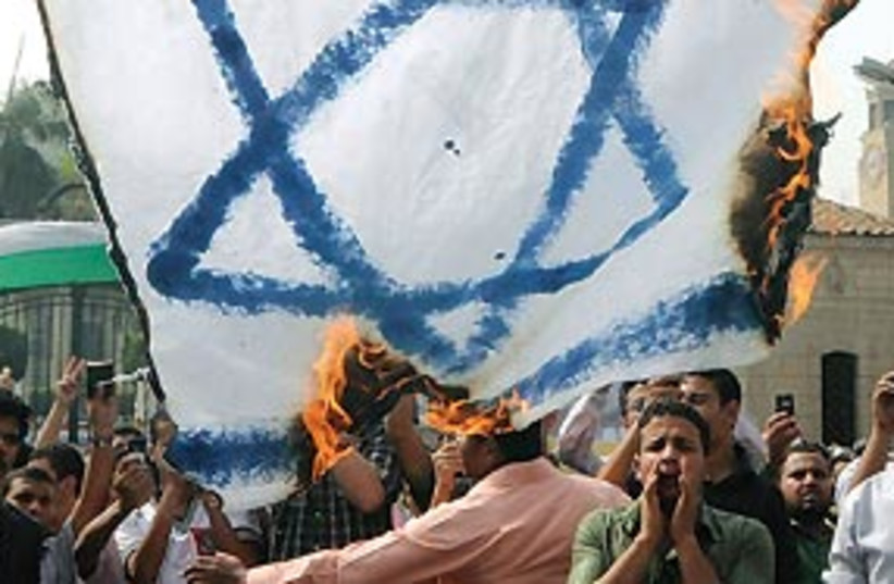 Israeli flag burning Cairo 311 (photo credit: Associated Press)