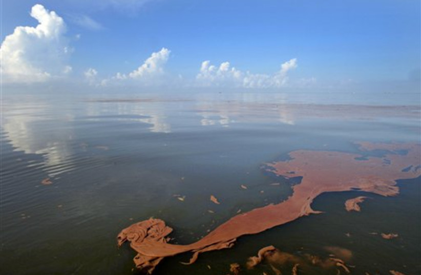 Gulf oil spill (photo credit: AP)