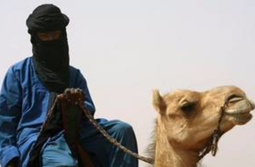 al qaida camel 311 (photo credit: Associated Press)