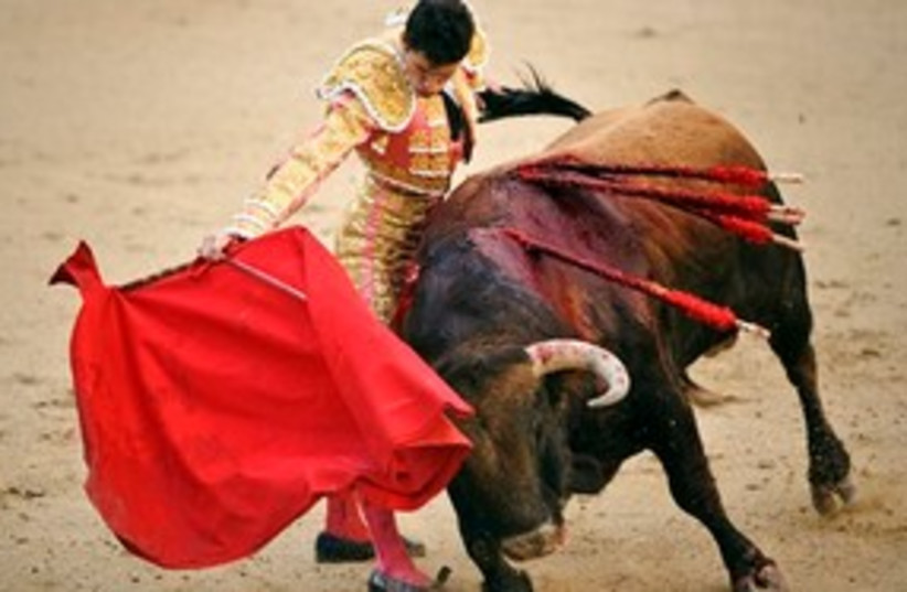 Bullfighting 311 (photo credit: Associated Press)
