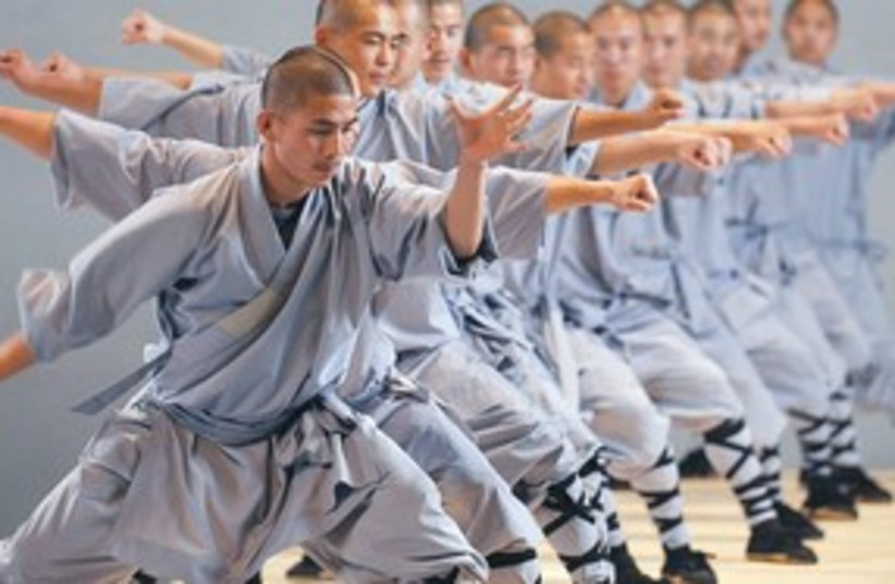 Martial Artists 311 (photo credit: courtesy)