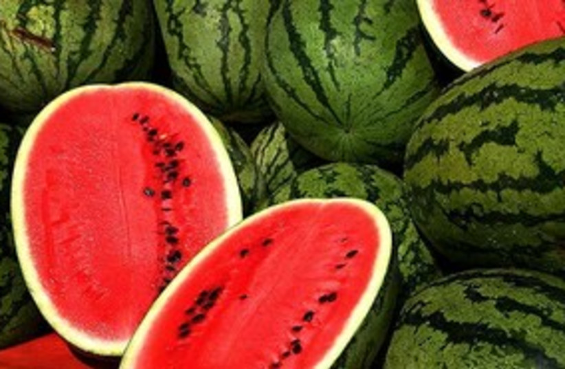 Watermelons 311 (photo credit: Wikimedia Commons)