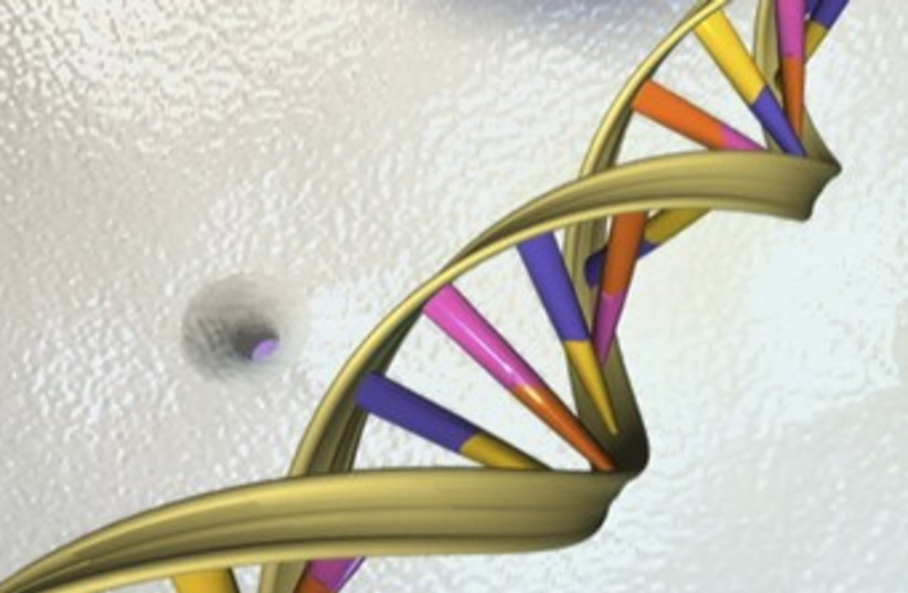 DNA (photo credit: REUTERS)
