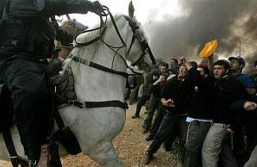 amona horse (photo credit: Associated Press)
