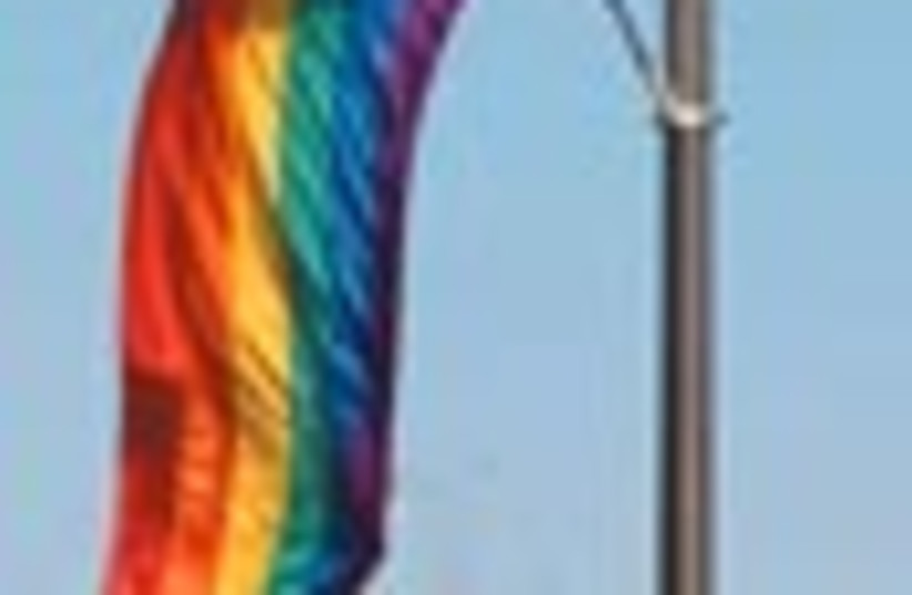 gay pride flag 88 (photo credit: )