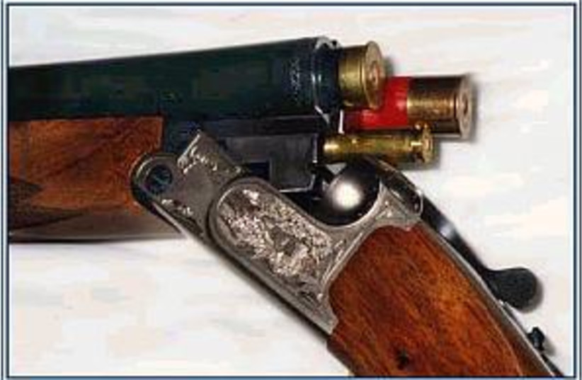 hitler gun 298 88 (photo credit: www.drillinghotline.com)
