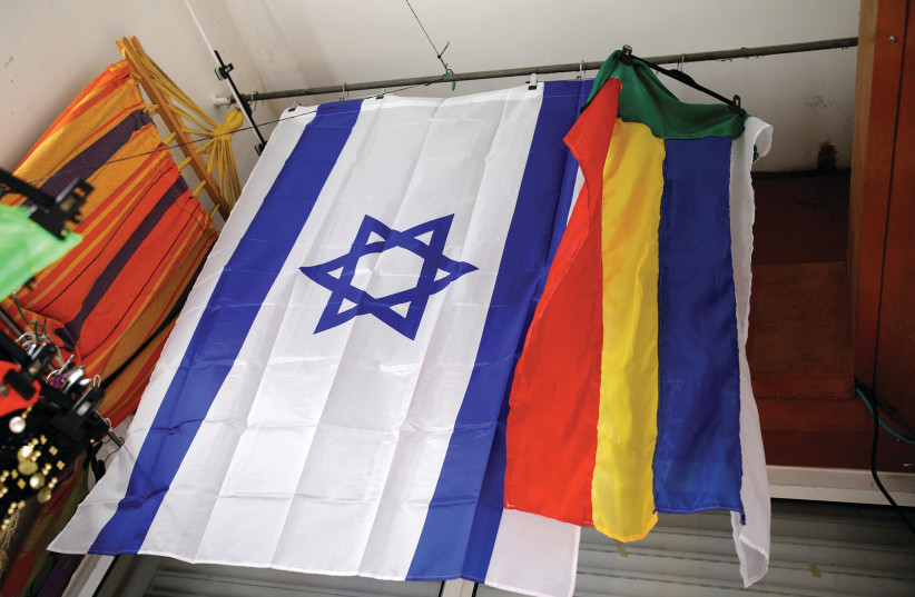 AN ISRAELI and a Druze flag hang from the ceiling of a store in the Druze town of Daliat al-Karmel. (photo credit: AMIR COHEN/REUTERS)