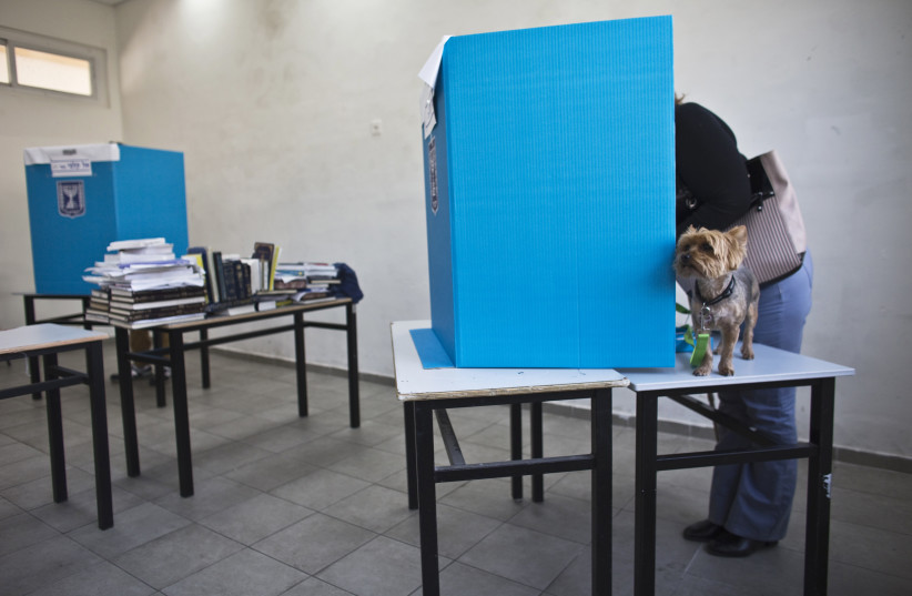 A dog stands on a table as its owner casts her ballot at a polling station in Tel Aviv March 17, 2015. Millions of Israelis voted on Tuesday in a tightly fought election, with Prime Minister Benjamin Netanyahu facing an uphill battle to defeat a strong campaign by the centre-left opposition to deny  (photo credit: NIR ELIAS / REUTERS)