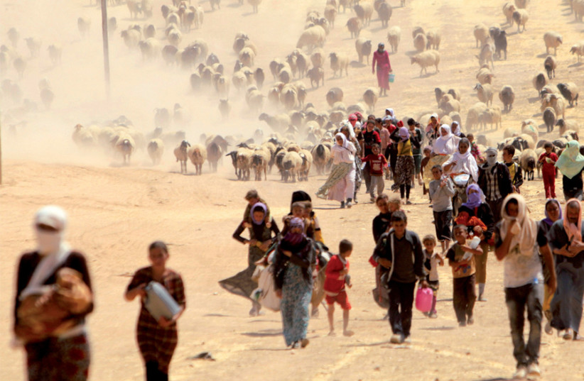 Displaced Yazidis fleeing ISIS in Sinjar walk toward the Syrian border in August 2014 (photo credit: RODI SAID / REUTERS)