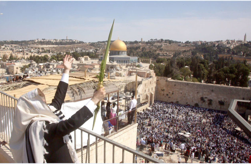 EXALTING IN Sukkot at the Western Wall (photo credit: MARC ISRAEL SELLEM)