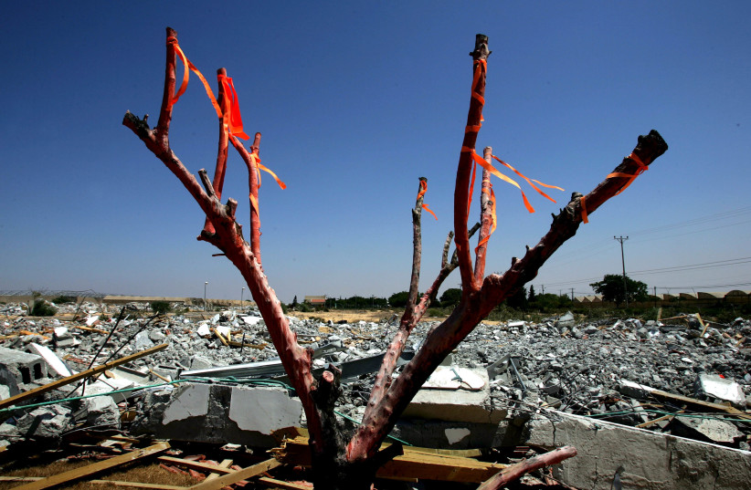  Tree is decorated with orange ribbons in front of destroyed Jewish settler houses in former Jewish settlement of Gadid in Gaza Strip, August, 2005. (photo credit: GORAN TOMASEVIC/REUTERS)