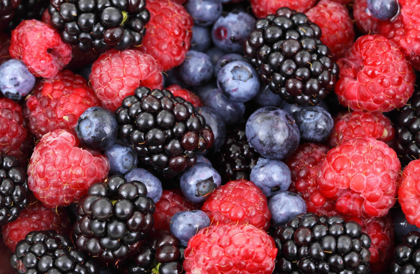 Illustrative image of berries. (photo credit: PIXABAY)