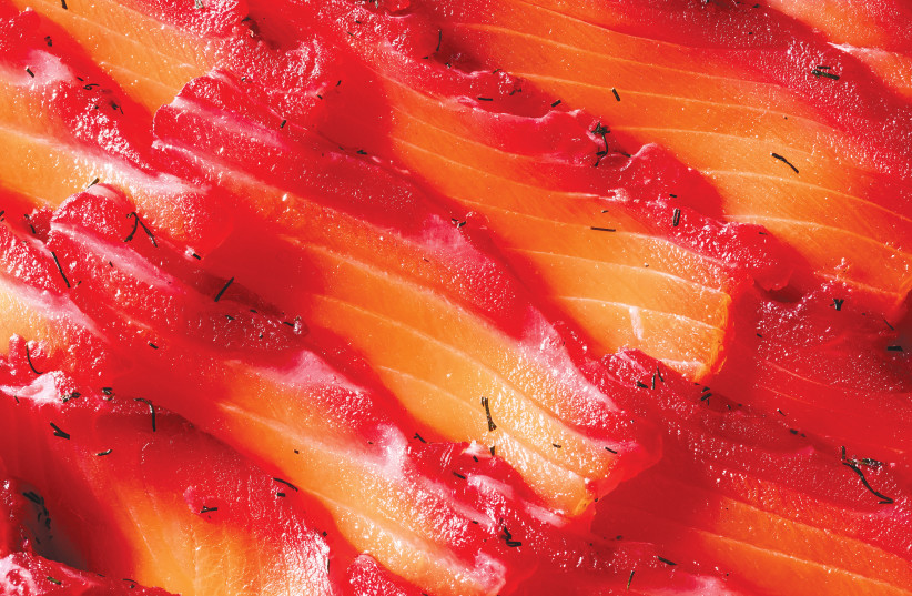  Beet-cured salmon. (photo credit: Eitan Productions)