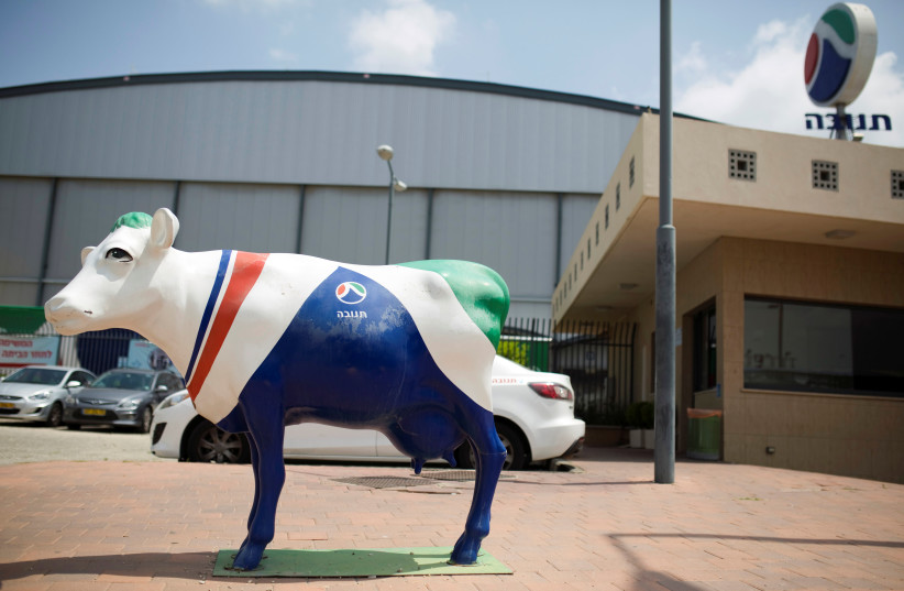  A statue of a cow painted in the colours of dairy firm Tnuva's logo stands outside the company's logistic centre in the southern town of Kiryat Malachi, Israel May 22, 2014. (photo credit: AMIR COHEN/REUTERS)