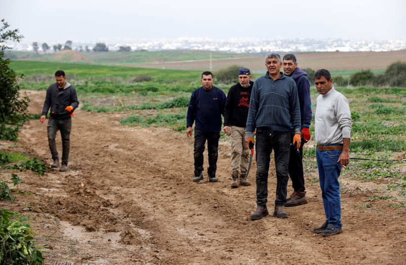 Palestinian unemployment in West Bank, Gaza Strip on decline - report ...