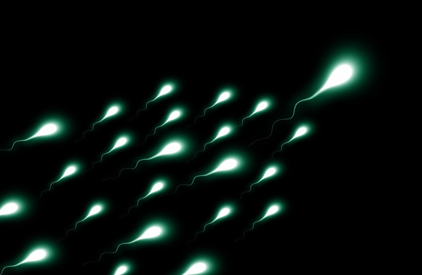  An illustrative image of sperm cells. (photo credit: PIXABAY)