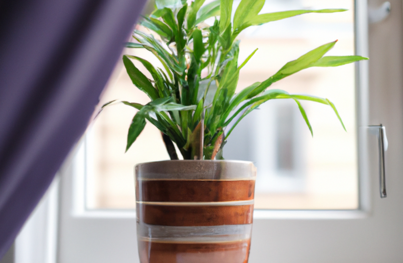  Best Planters for Small Spaces: Compact and Stylish Solutions (photo credit: PR)