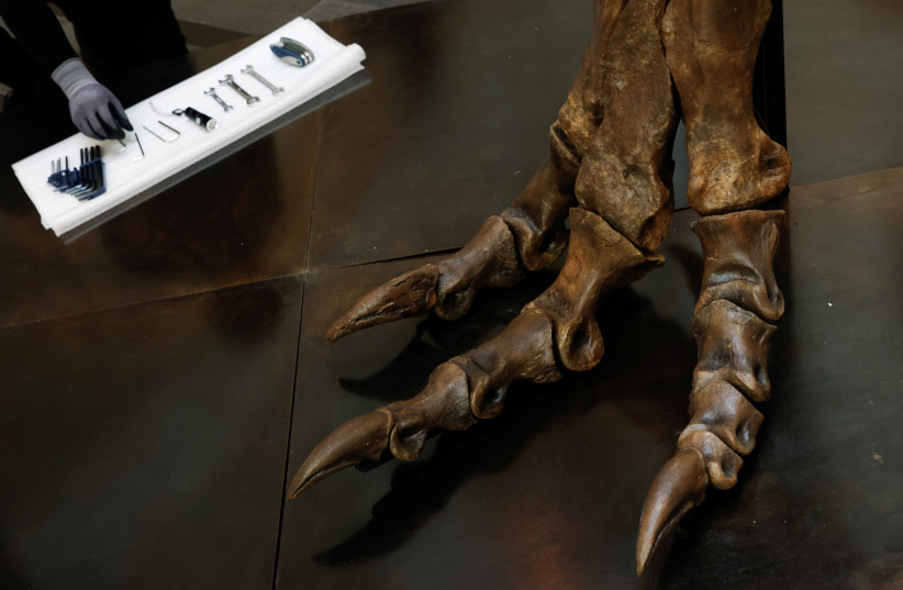  An illustrative image of a dinosaur's foot. (photo credit: EDGAR SU/ REUTERS)