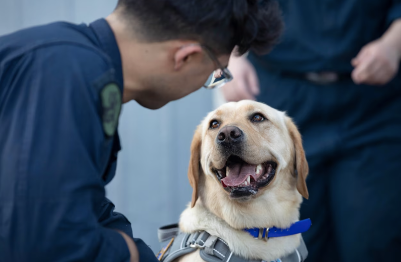  Navy Petty Officer 3rd Class Daniel Velasquez spends time with Sage, the USS Gerald R. Ford’s facility dog, as the dog and her handlers visit the USS Normandy in the Mediterranean Sea, June 20, 2023. (photo credit: US DEPARTMENT OF DEFENSE)