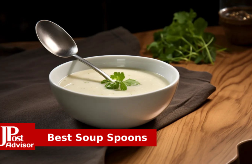  Best Soup Spoons for 2023 (photo credit: PR)
