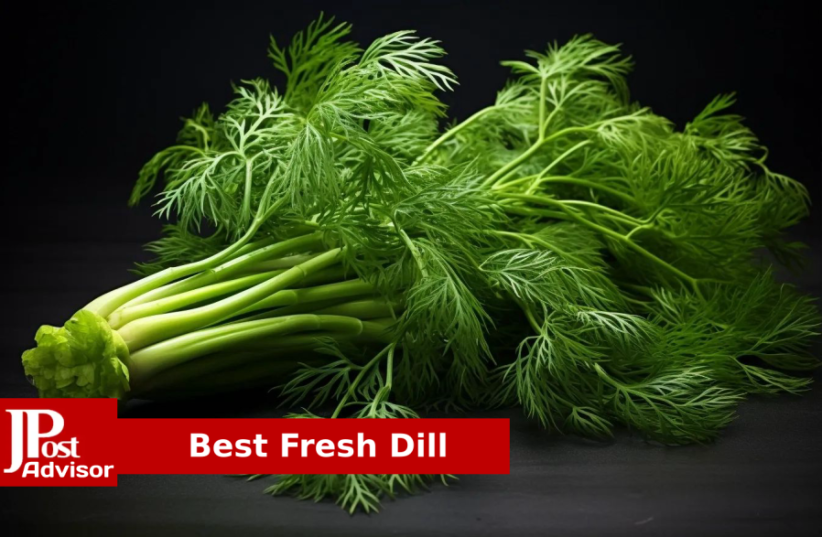  Best Fresh Dill for 2023 (photo credit: PR)