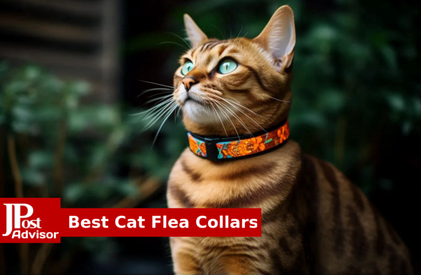  Best Cat Flea Collars for 2023 (photo credit: PR)