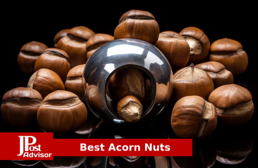  Best Acorn Nuts for 2023 (photo credit: PR)