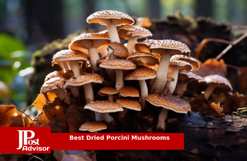  Best Dried Porcini Mushrooms for 2023 (photo credit: PR)