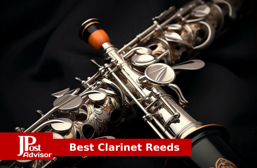  Best Clarinet Reeds for 2023 (photo credit: PR)