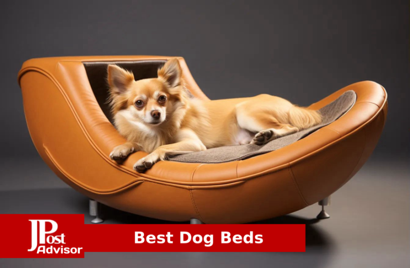 The Very Best Dog Beds for 2023 (photo credit: PR)