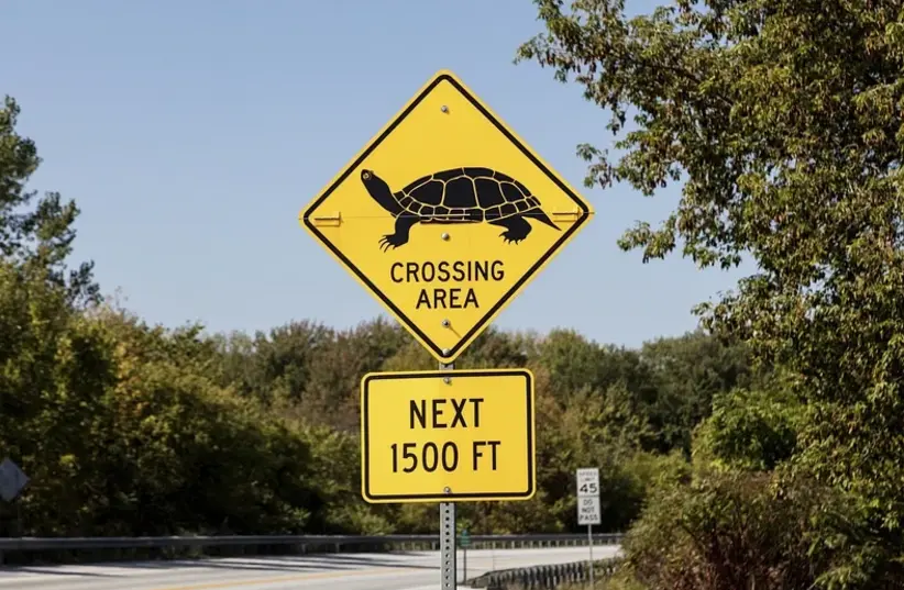  Beware of animals crossing! (photo credit: CREATIVE COMMONS)