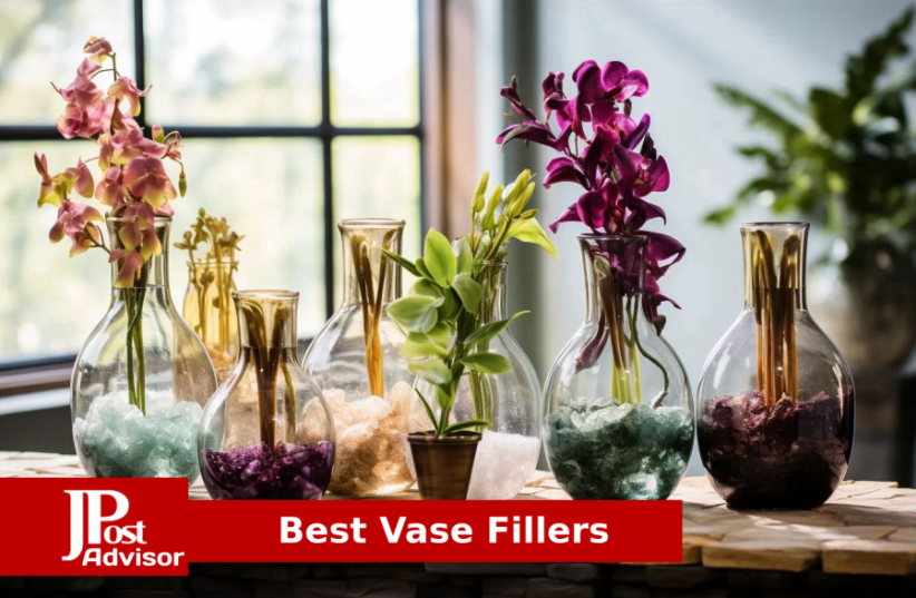  Best Vase Fillers for 2023 (photo credit: PR)