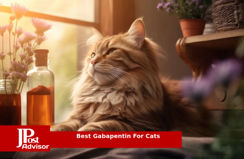  Best Gabapentin For Cats for 2023 (photo credit: PR)