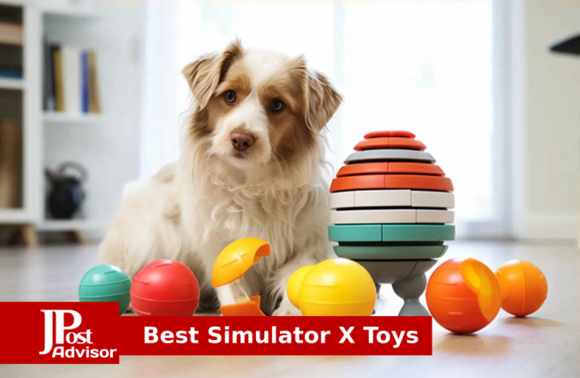  Best Simulator X Toys for 2023 (photo credit: PR)
