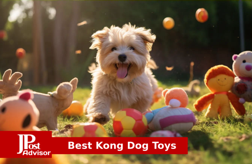  Best Kong Dog Toys for 2023 (photo credit: PR)