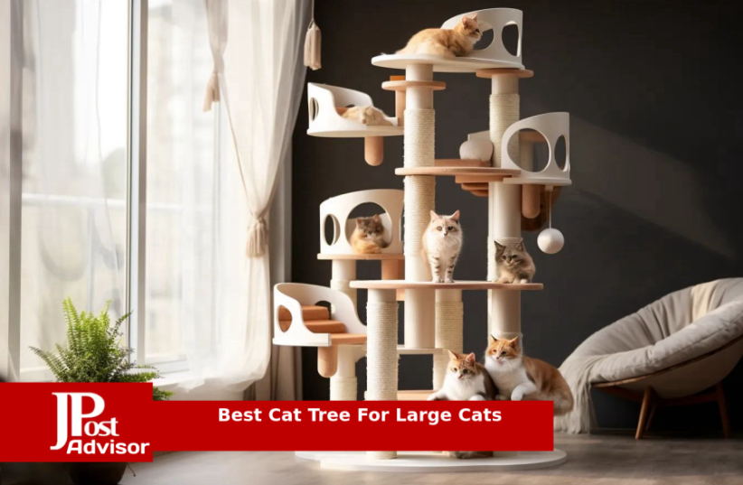  Best Cat Tree For Large Cats for 2023 (photo credit: PR)