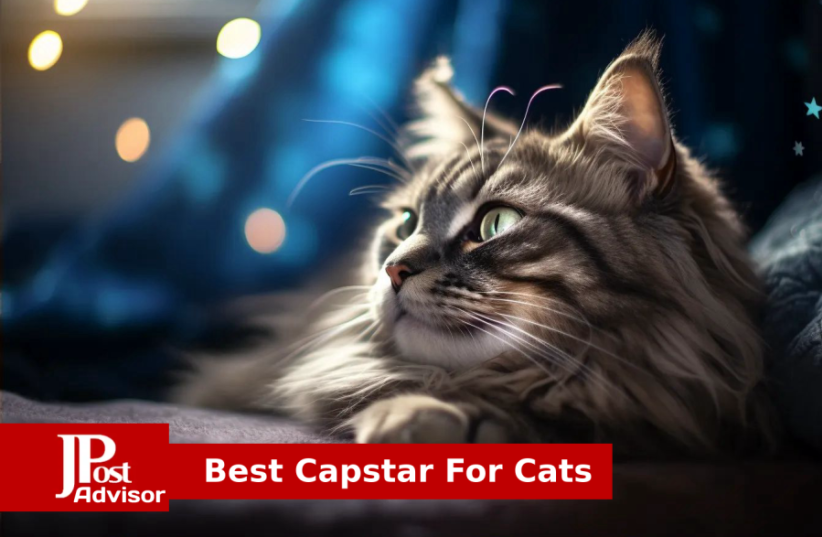  Best Capstar For Cats for 2023 (photo credit: PR)