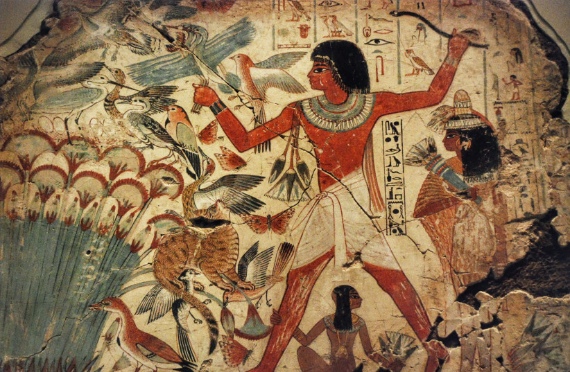 Painting from the tomb of Nebamun show the New Kingdom period accountant Nebamun hunting birds in the marshes of Egypt.  (photo credit: Jan van der Crabben)