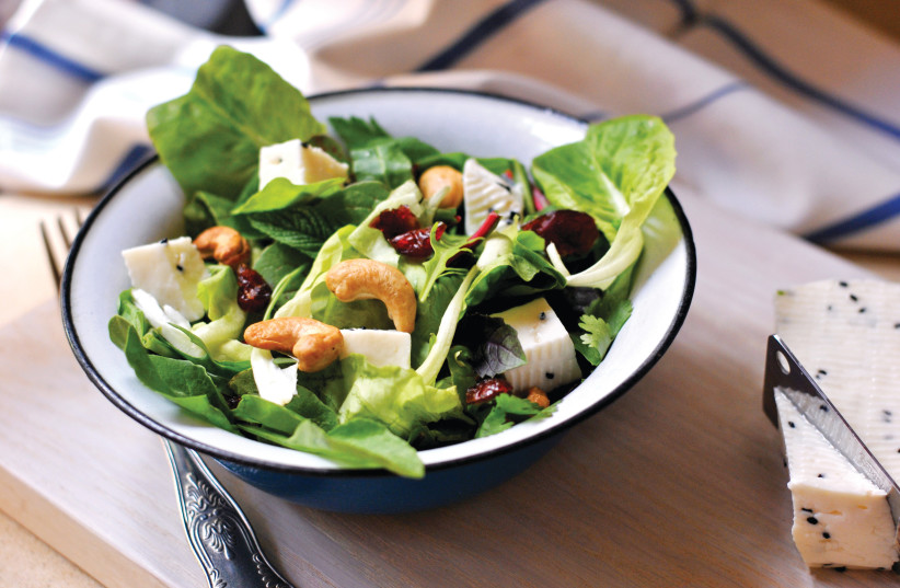  Lettuce salad with cashew, cheese, and cranberries. (photo credit: PASCALE PEREZ-RUBIN)