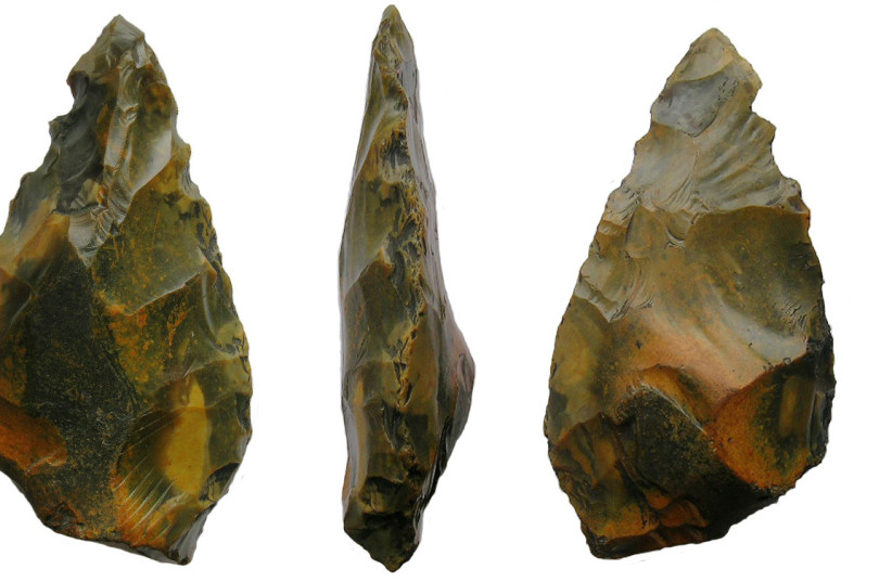  Stone handaxe. (photo credit: Wikimedia Commons)