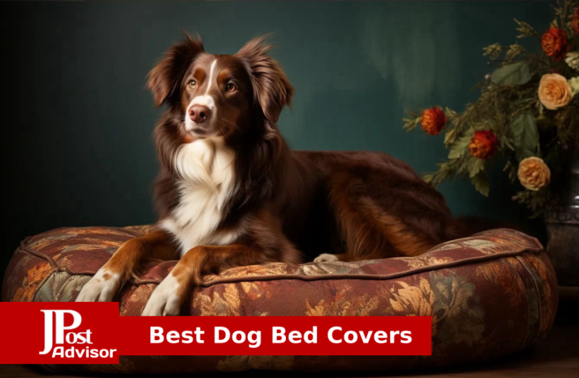  Best Dog Bed Covers for 2023 (photo credit: PR)