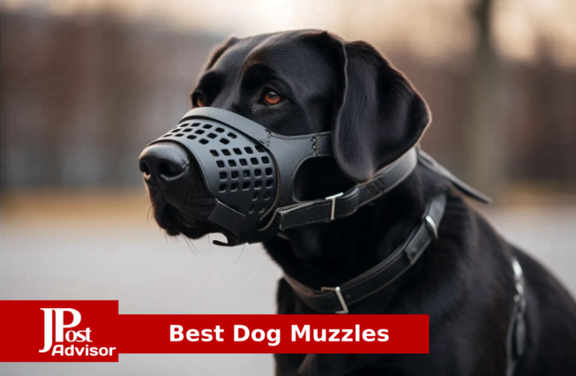  Best Dog Muzzles for 2023 (photo credit: PR)